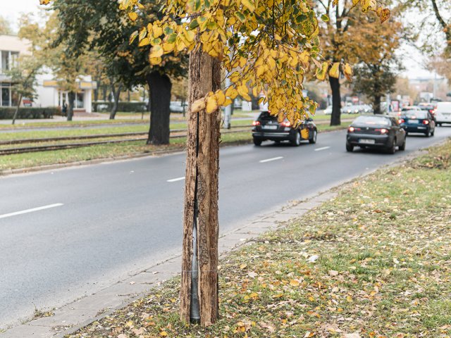 21. ul. Kościuszki (16.10.2019)